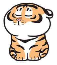 [Trang] Import Product 002