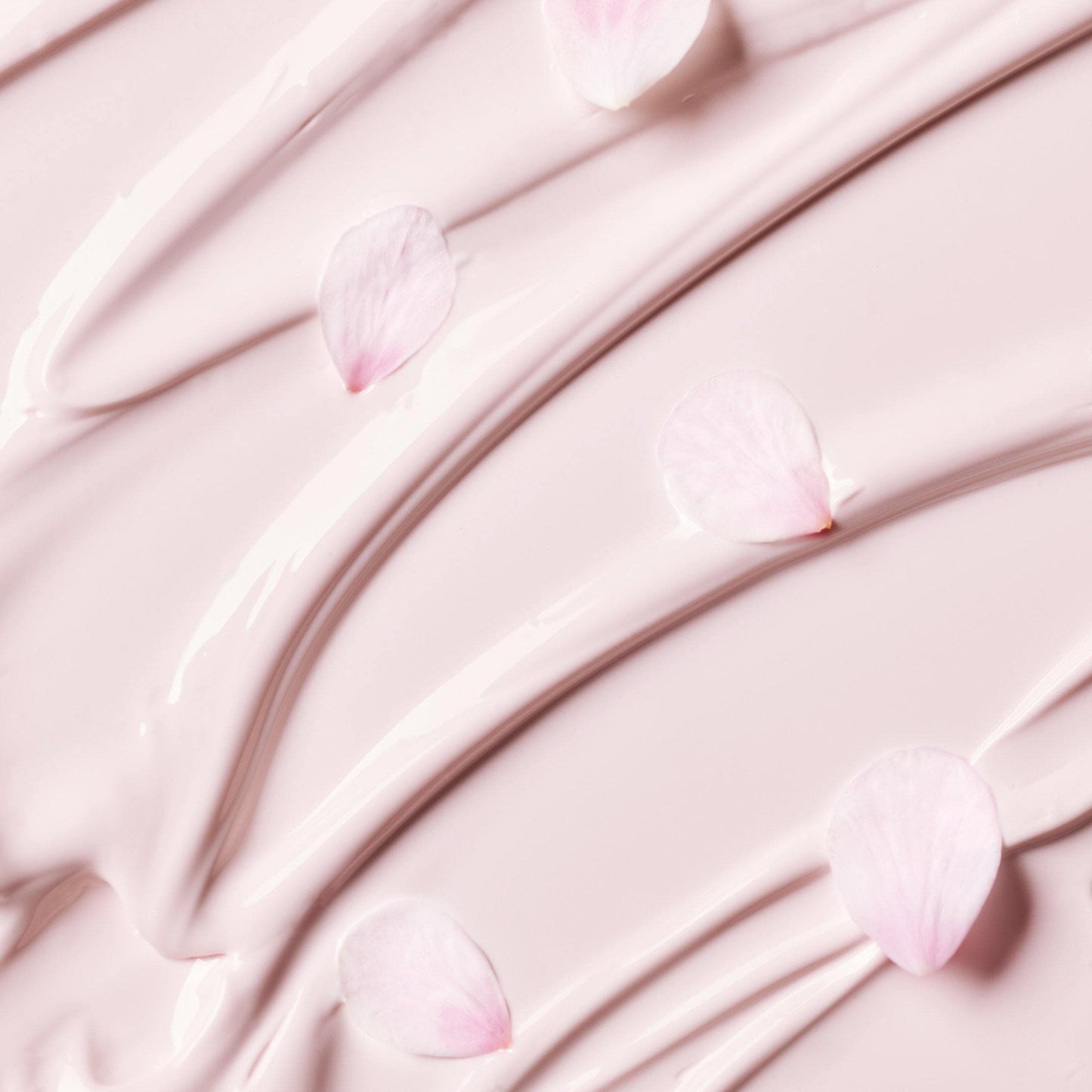 Jeju Cherry Blossom Tone-up Cream 50ml - innisfree Australia